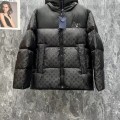 「#3645」lv 24 new hooded down jacket
