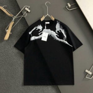 「#4244」Dior SpringSummer White Two-Hand Direct Ink Jewelry Printed T-shirt