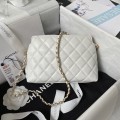 「#1183」​Chanel 23A Golden Little Lion Chain Bag AP3429, Top Quality   Size: 19 * 13 * 8cm