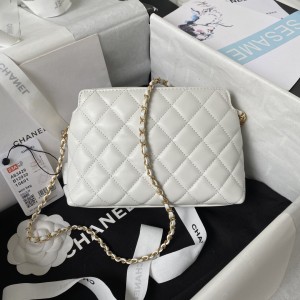 「#1183」​Chanel 23A Golden Little Lion Chain Bag AP3429, Top Quality   Size: 19 * 13 * 8cm