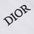 「#5129」Dior 2025 spring and summer new zebra letters 47