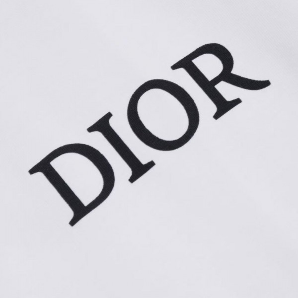 Dior 2025 spring and summer new zebra letters 47