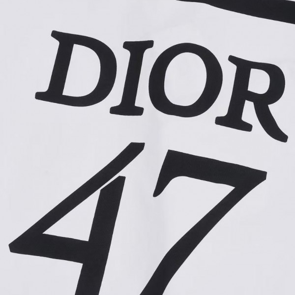 Dior 2025 spring and summer new zebra letters 47
