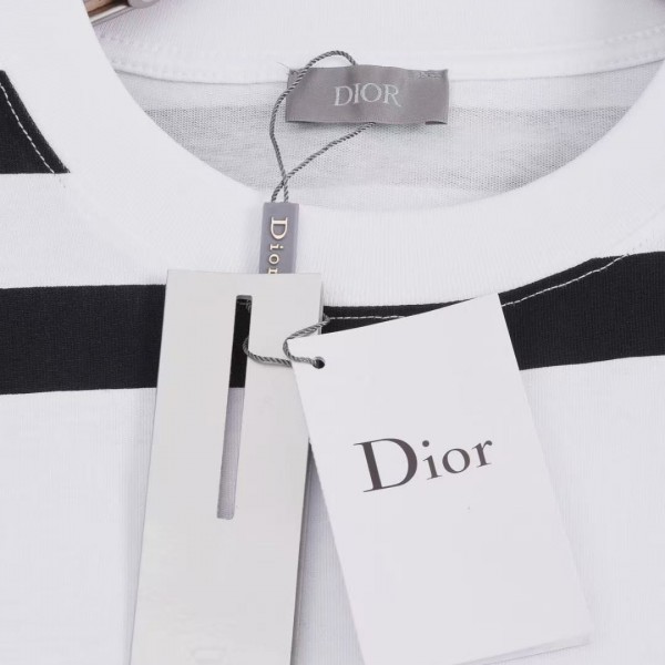 Dior 2025 spring and summer new zebra letters 47