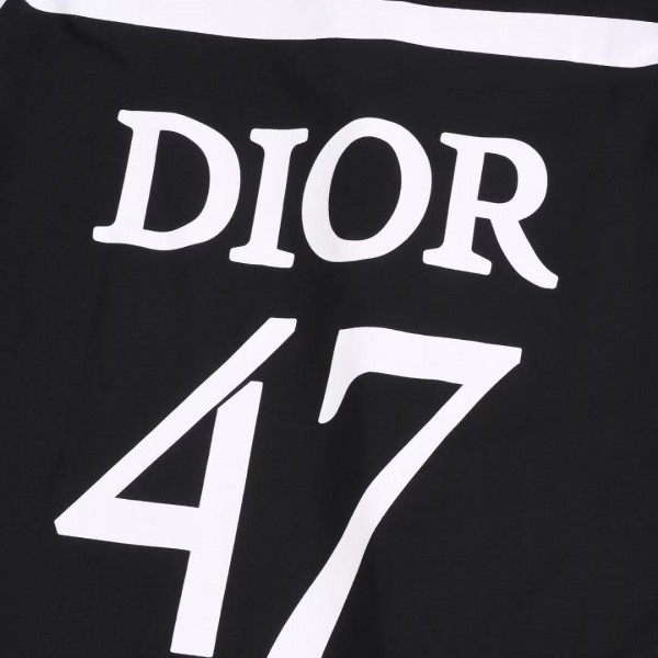 Dior 2025 spring and summer new zebra letters 47