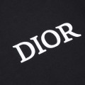 「#5130」Dior 2025 spring and summer new zebra letters 47