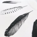 「#2846」Givenchy 2024ss new summer feather print t-shirt